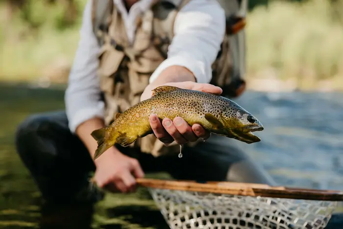 Full day float on a Montana river
